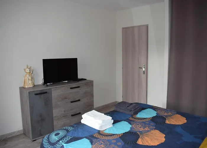Superbe T3 Classe 3 Etoiles Chez Cathy Et Frank Situe En Plein Centre De Gerardmer